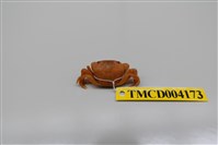 藏品(絨毛近方蟹)的圖片